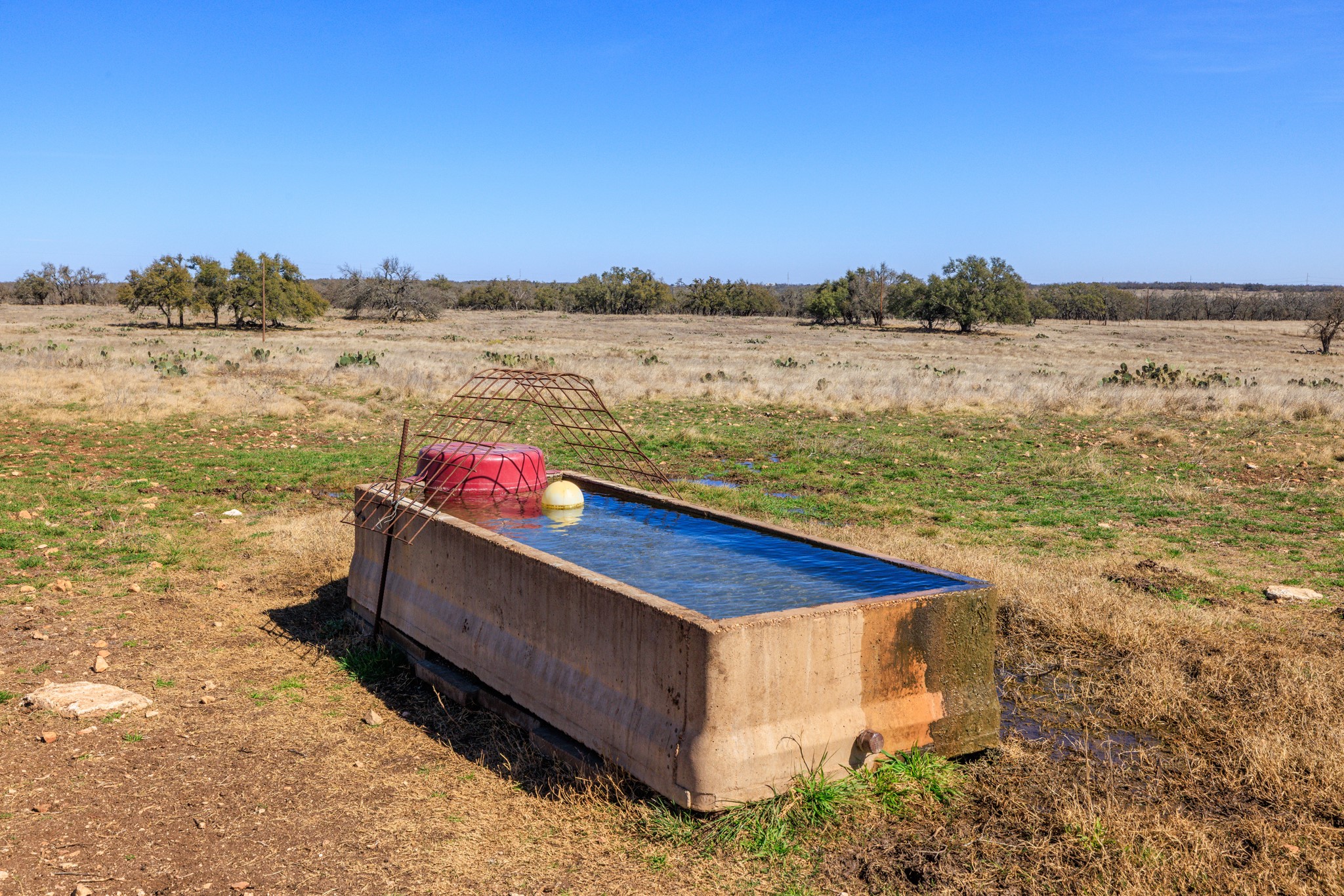 2020 Wendel Road Harper, TX 78631 - Photo 6 of 40 a view of lake with city