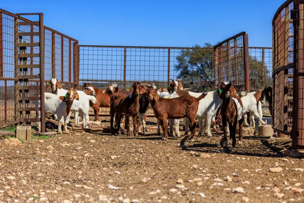 a view of a house with street