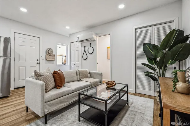 a living room with furniture a rug and a potted plant