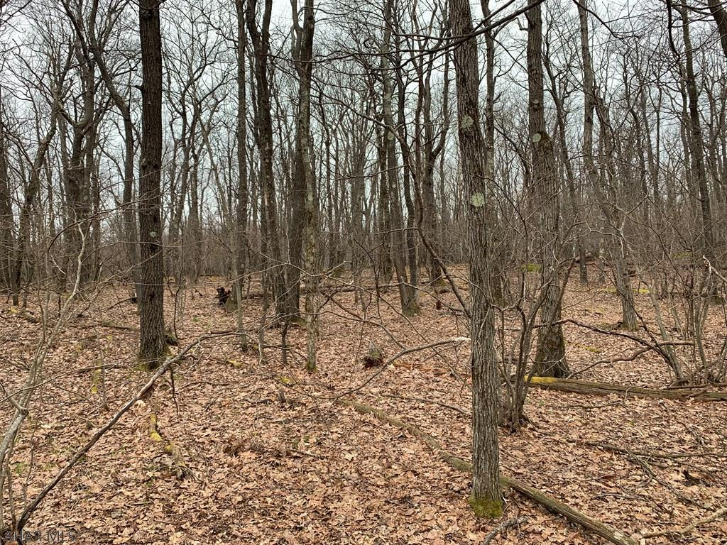 Lot 150 Shawnee View Road Central City, PA 15926 - Photo 4 of 23 Gallery Image 4