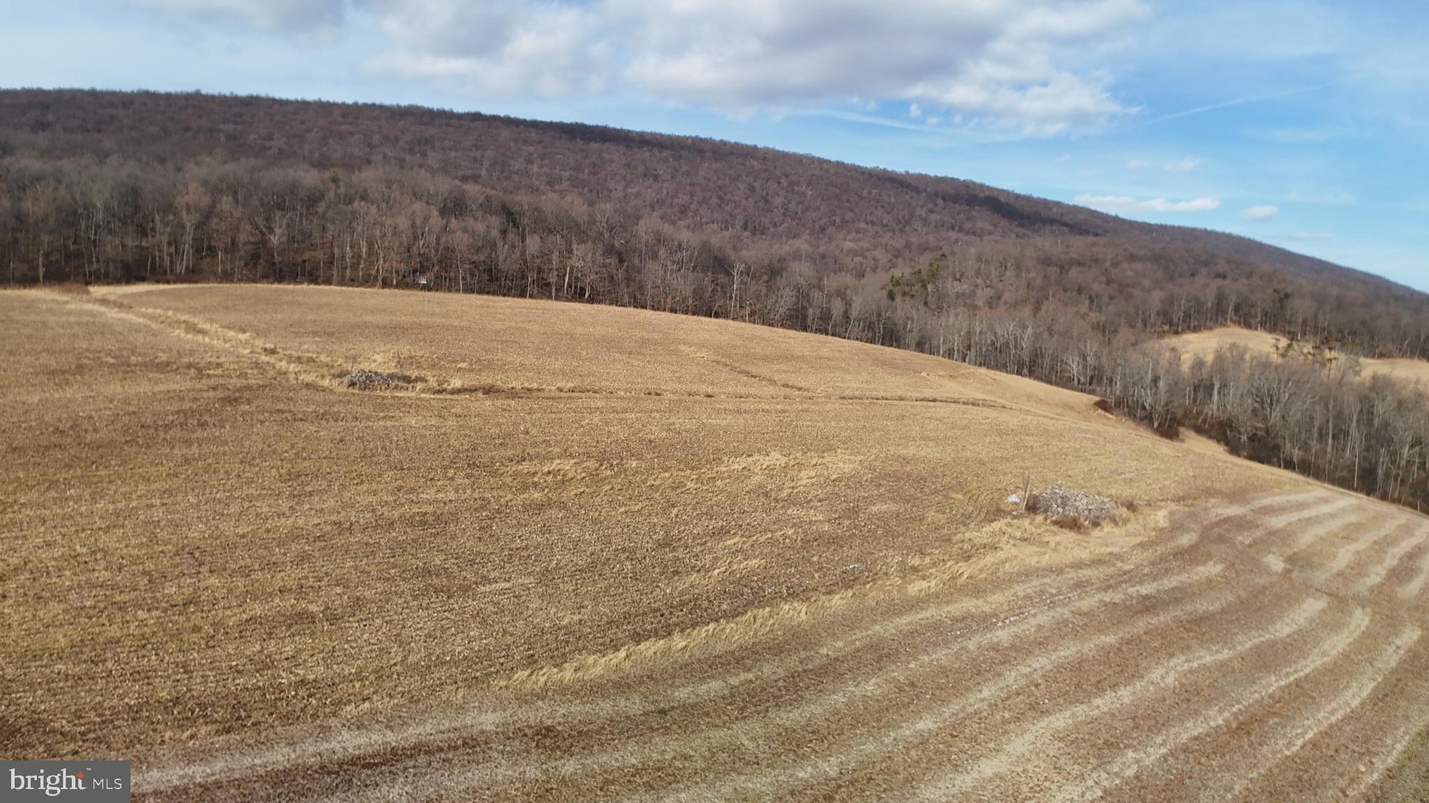 4534 Raccoon Valley Road Millerstown, PA 17062 - Photo 129 of 150 Gallery Image 129