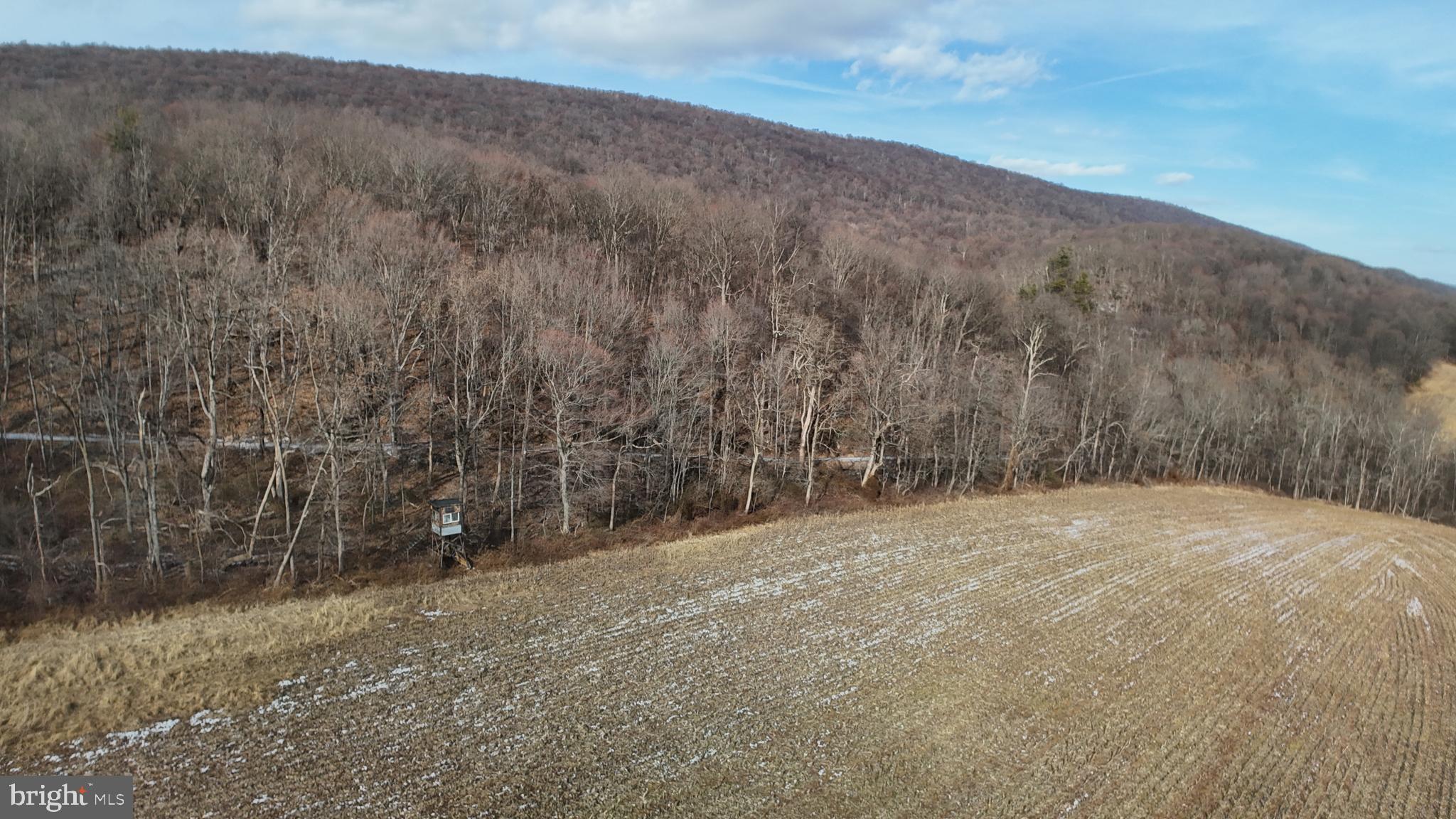 4534 Raccoon Valley Road Millerstown, PA 17062 - Photo 130 of 150 Gallery Image 130