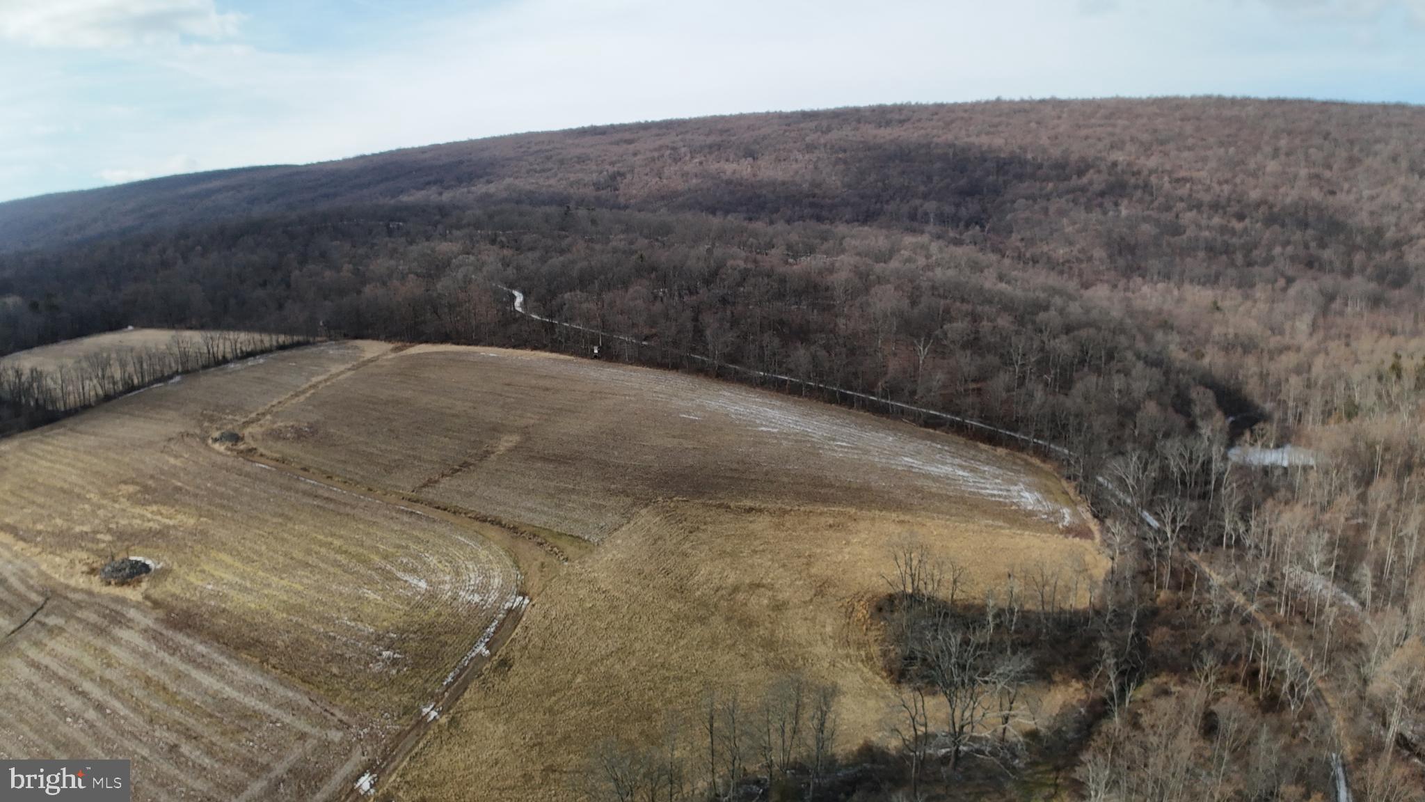 4534 Raccoon Valley Road Millerstown, PA 17062 - Photo 137 of 150 Gallery Image 137