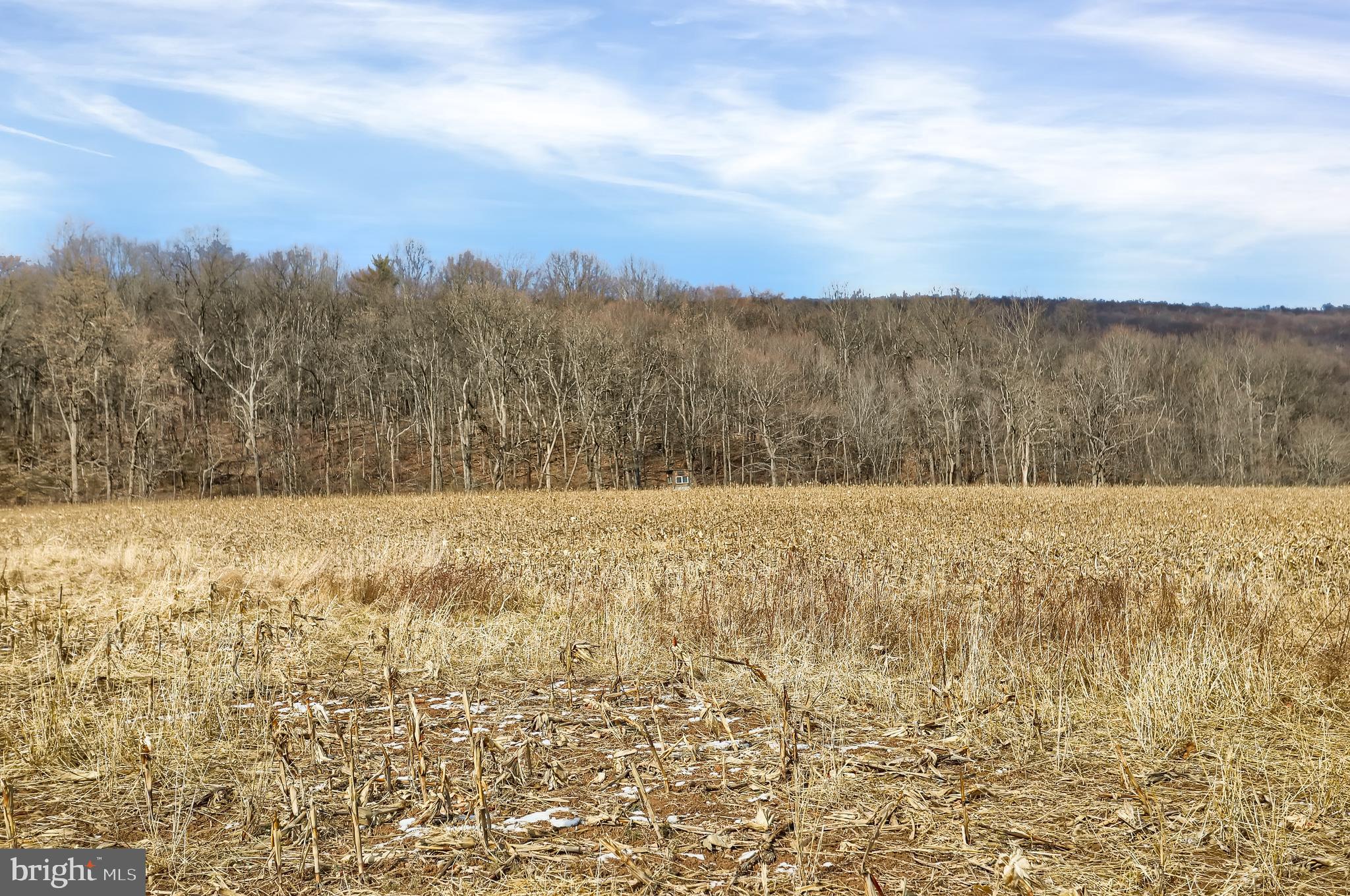 4534 Raccoon Valley Road Millerstown, PA 17062 - Photo 92 of 150 Gallery Image 92