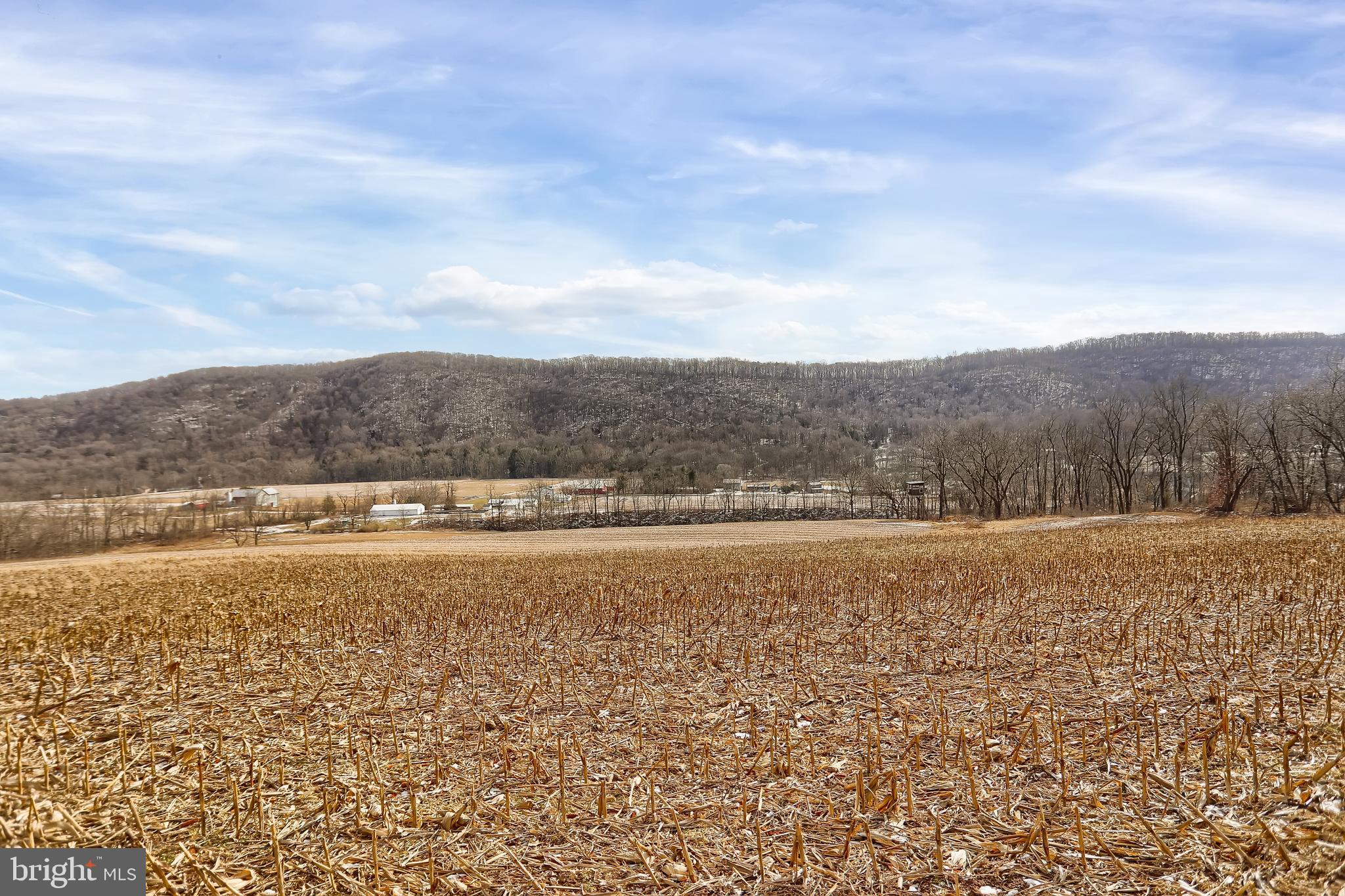 4534 Raccoon Valley Road Millerstown, PA 17062 - Photo 94 of 150 Gallery Image 94