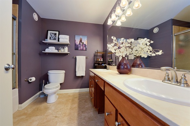 230 West Division Street, Unit 1005 Chicago, IL 60610 - Photo 8 of 15 a bathroom with a sink a toilet and a mirror