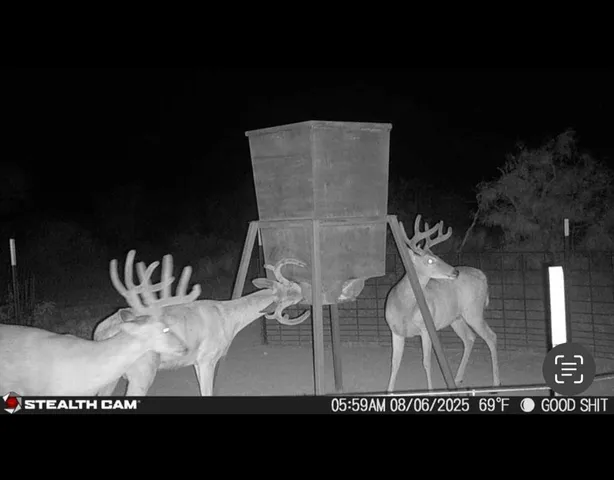 $2,170,000 | 467 Cr 467, Talpa, TX 76882