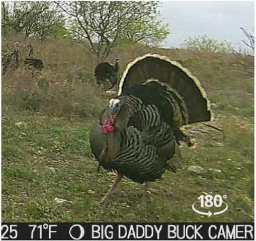 $2,170,000 | 467 Cr 467, Talpa, TX 76882