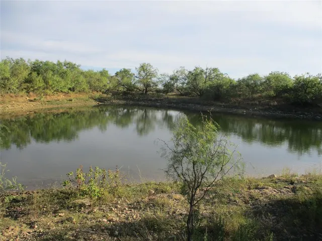 a view of a lake with a mountain in the background