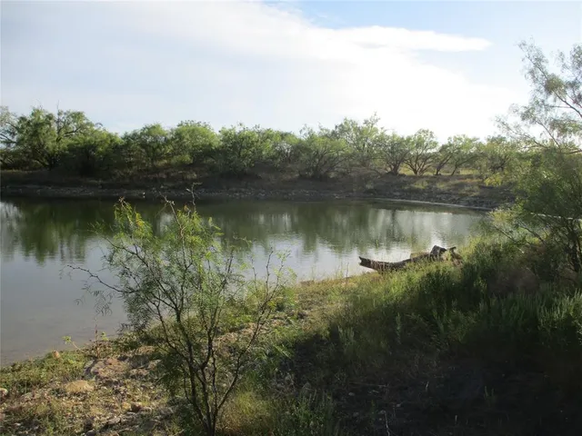 a view of a lake in middle of forest