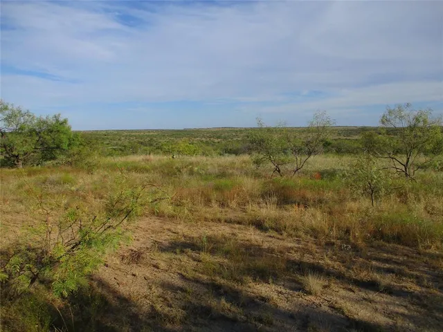 a view of a field with trees in background
