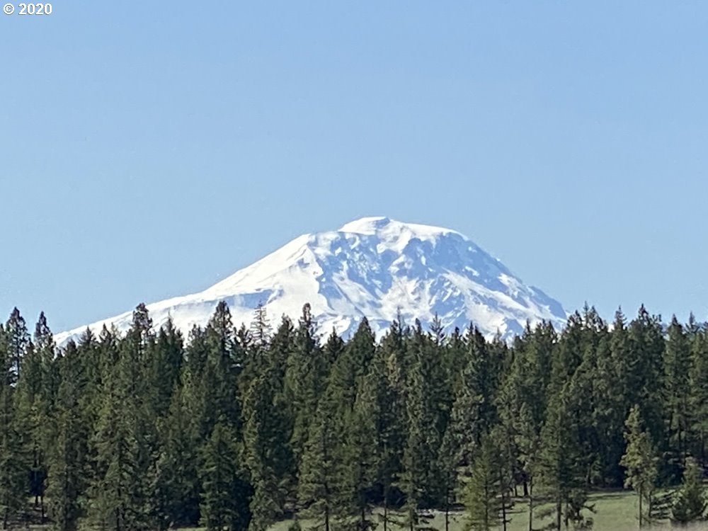 Pine Forest Road, Unit 4 Goldendale, WA 98620 - Photo 1 of 16 Gallery Image 1
