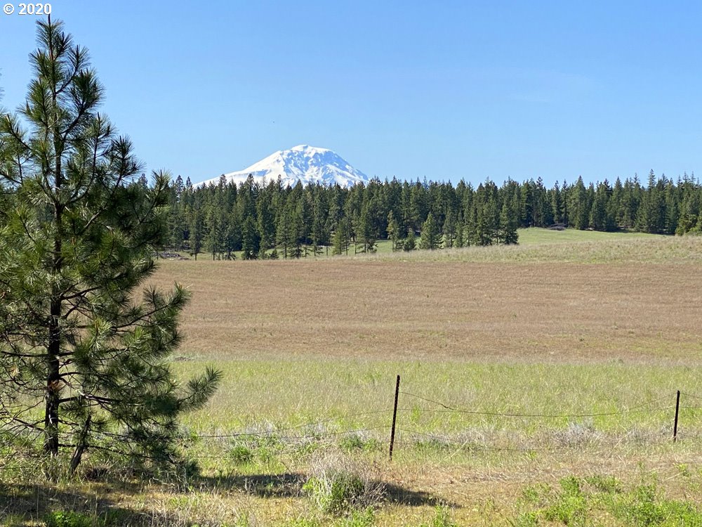 Pine Forest Road, Unit 4 Goldendale, WA 98620 - Photo 2 of 16 Gallery Image 2