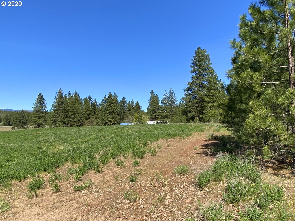Pine Forest Road, Unit 4 Goldendale, WA 98620 - Photo 15 of 16 Gallery Image 15