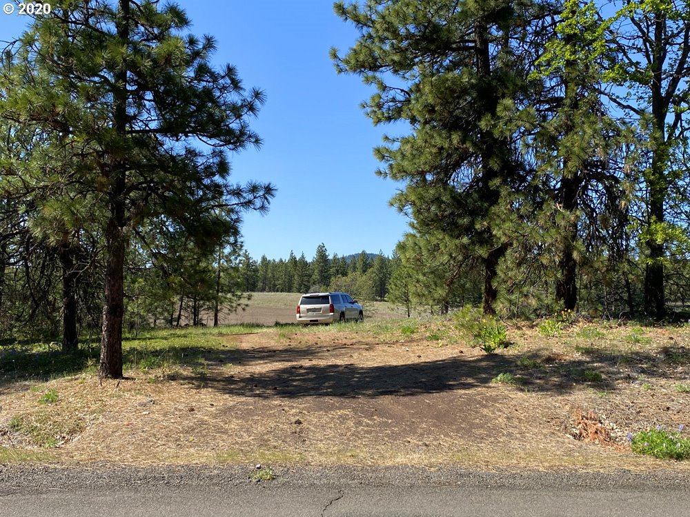 Pine Forest Road, Unit 4 Goldendale, WA 98620 - Photo 3 of 16 Gallery Image 3