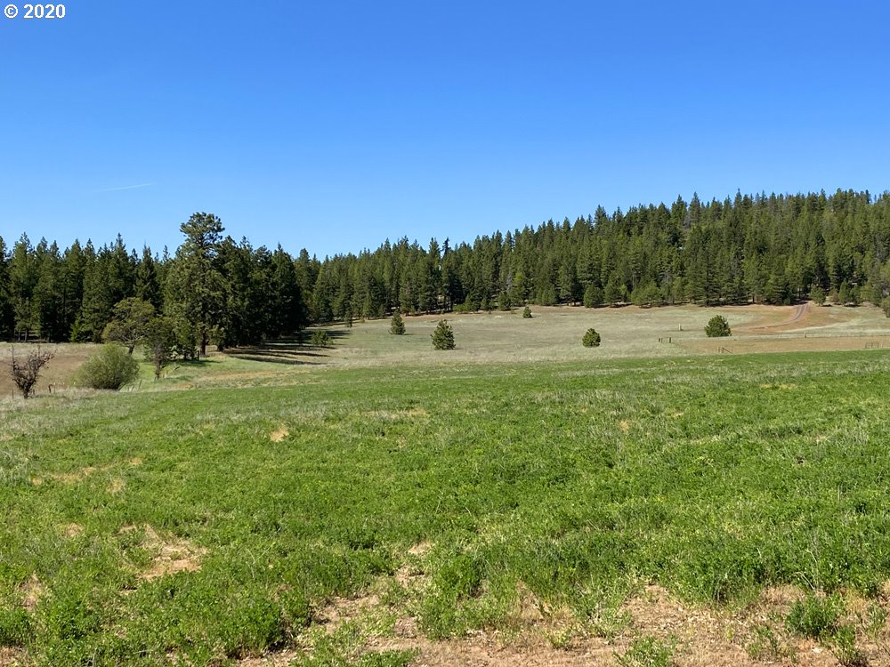 Pine Forest Road, Unit 4 Goldendale, WA 98620 - Photo 4 of 16 Gallery Image 4
