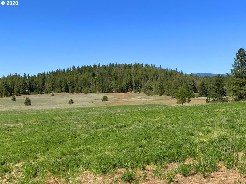 Pine Forest Road, Unit 4 Goldendale, WA 98620 - Photo 5 of 16 Gallery Image 5