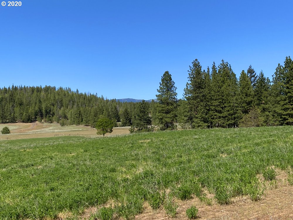 Pine Forest Road, Unit 4 Goldendale, WA 98620 - Photo 6 of 16 Gallery Image 6