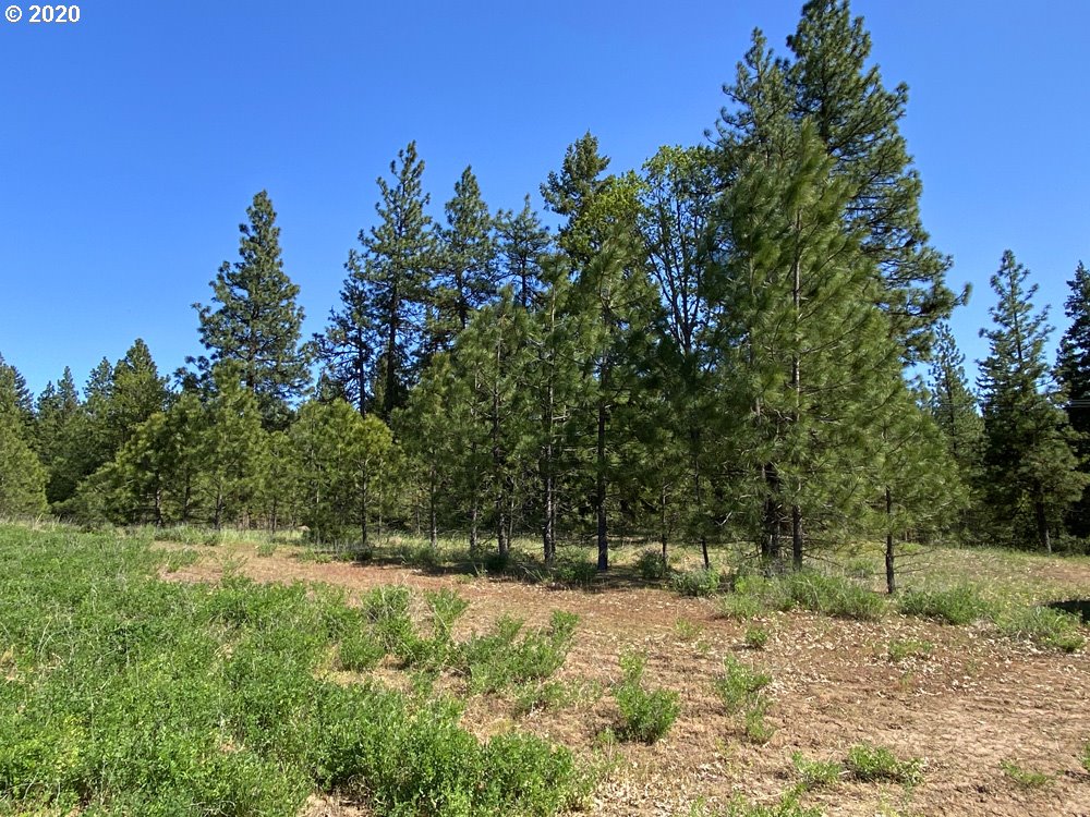 Pine Forest Road, Unit 4 Goldendale, WA 98620 - Photo 7 of 16 Gallery Image 7