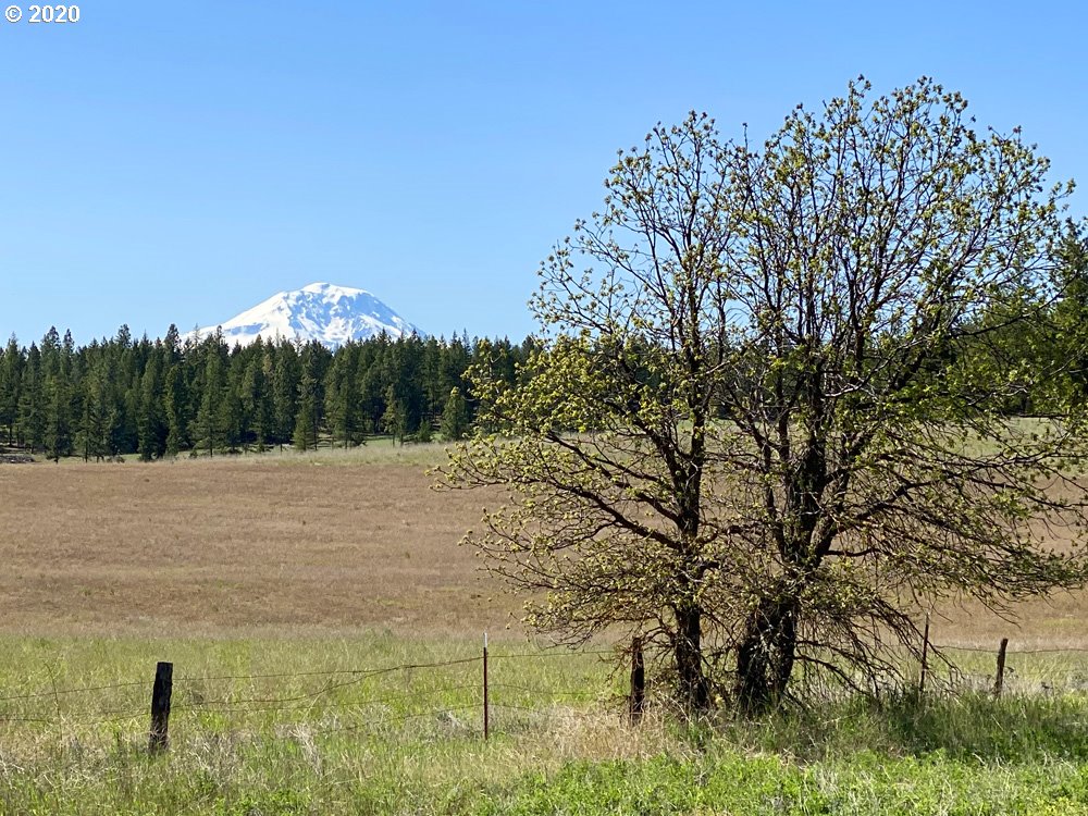 Pine Forest Road, Unit 4 Goldendale, WA 98620 - Photo 8 of 16 Gallery Image 8