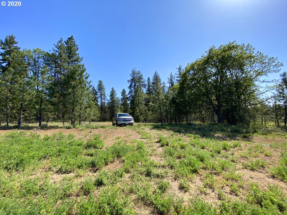 Pine Forest Road, Unit 4 Goldendale, WA 98620 - Photo 9 of 16 Gallery Image 9