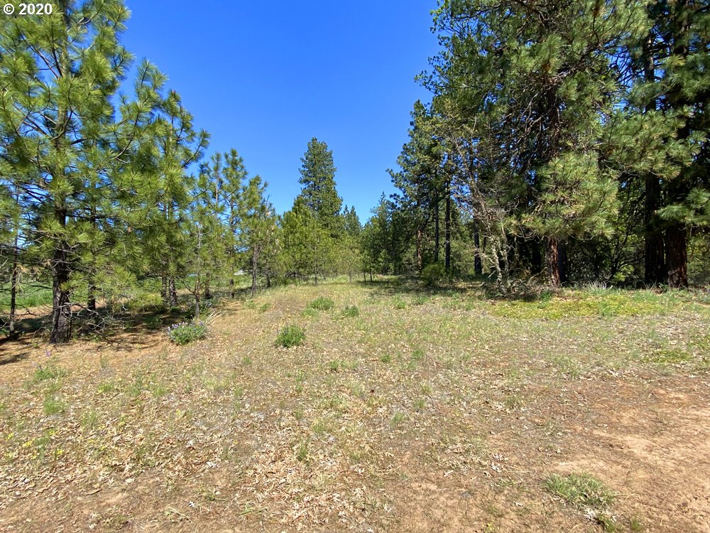 Pine Forest Road, Unit 4 Goldendale, WA 98620 - Photo 10 of 16 Gallery Image 10