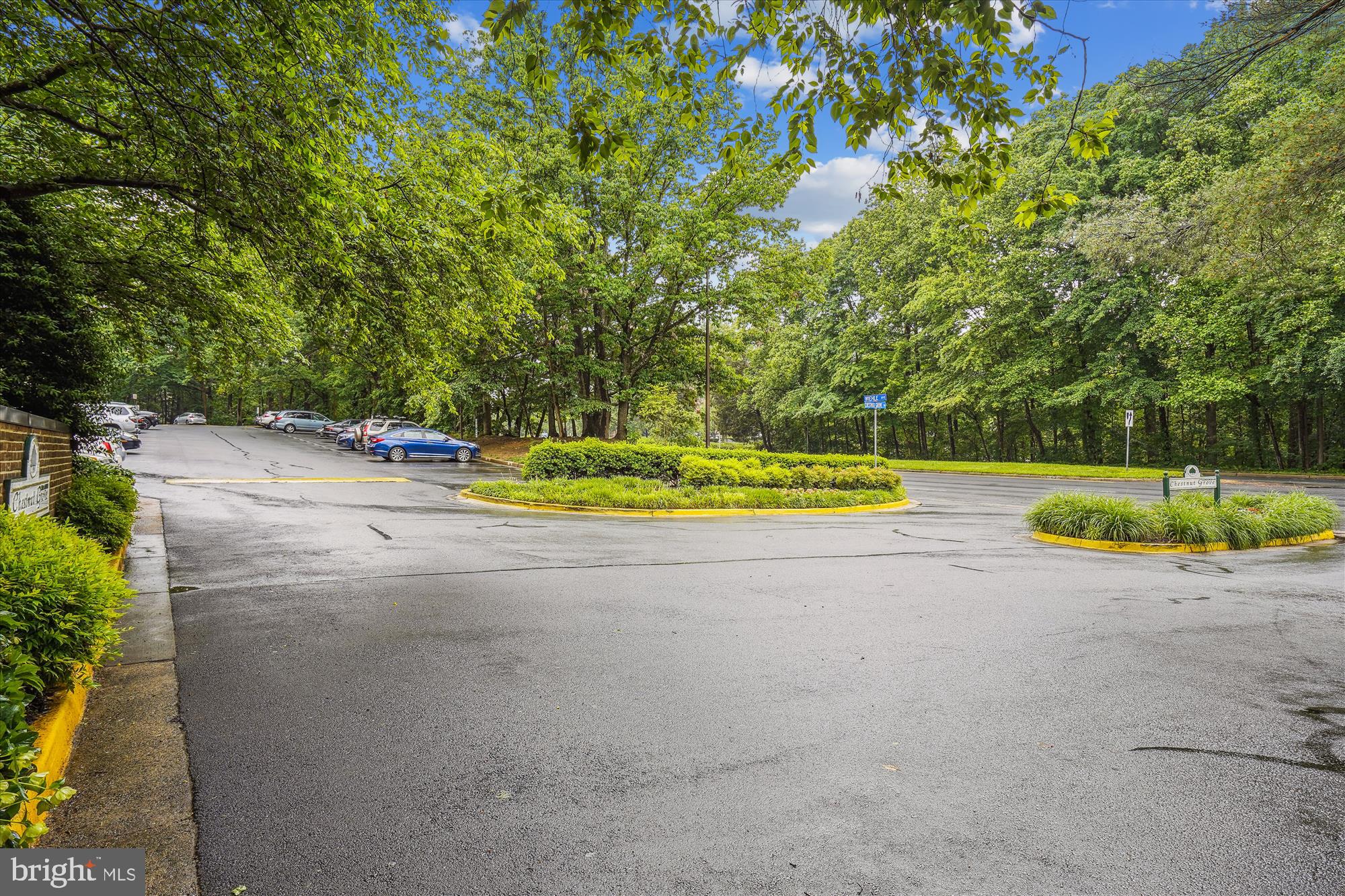 11224 Chestnut Grove Square, Unit 11224125 Reston, VA 20190 - Photo 19 of 42 Assigned Parking