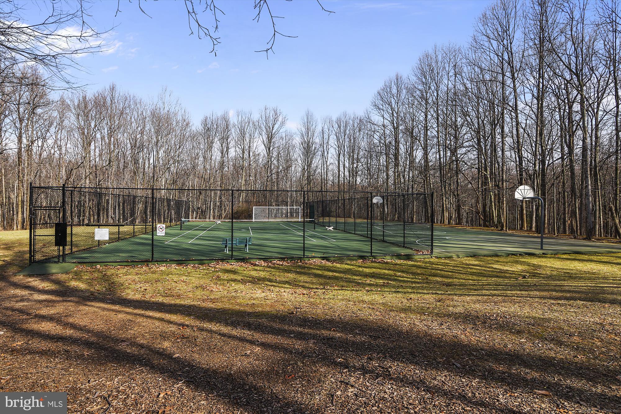 11224 Chestnut Grove Square, Unit 11224125 Reston, VA 20190 - Photo 23 of 42 Amenities