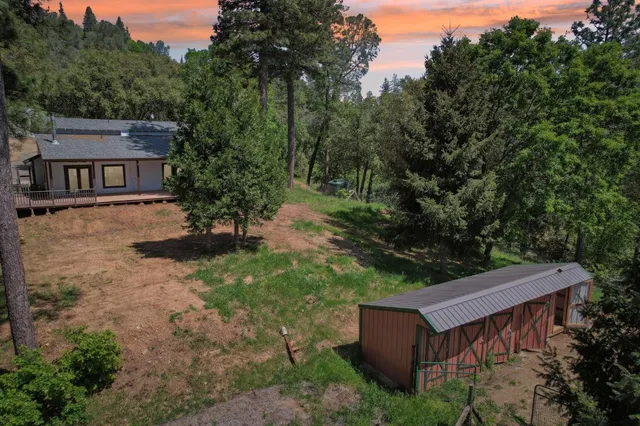 a view of a house with a small yard and large tree