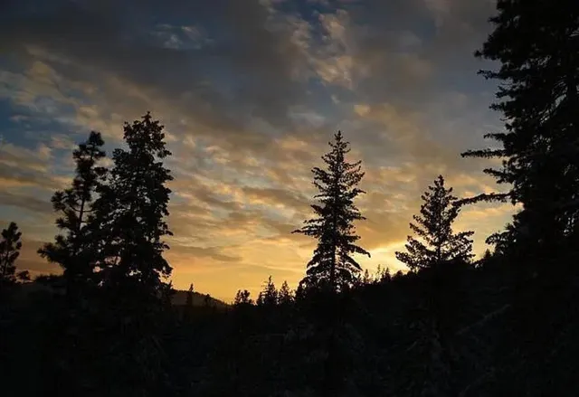 an aerial view of a house with a yard and outdoor seating