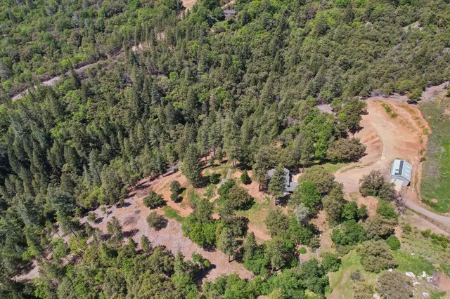 a view of a forest with a street