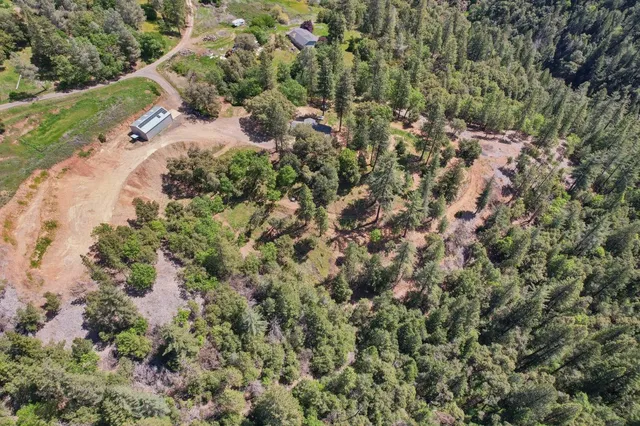 a view of a forest with a building