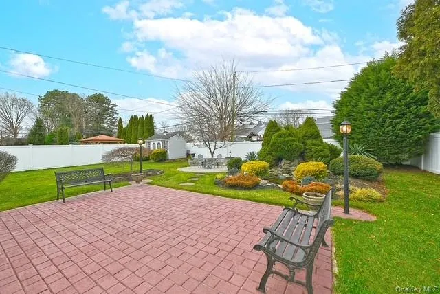 a view of a yard with plants and large trees