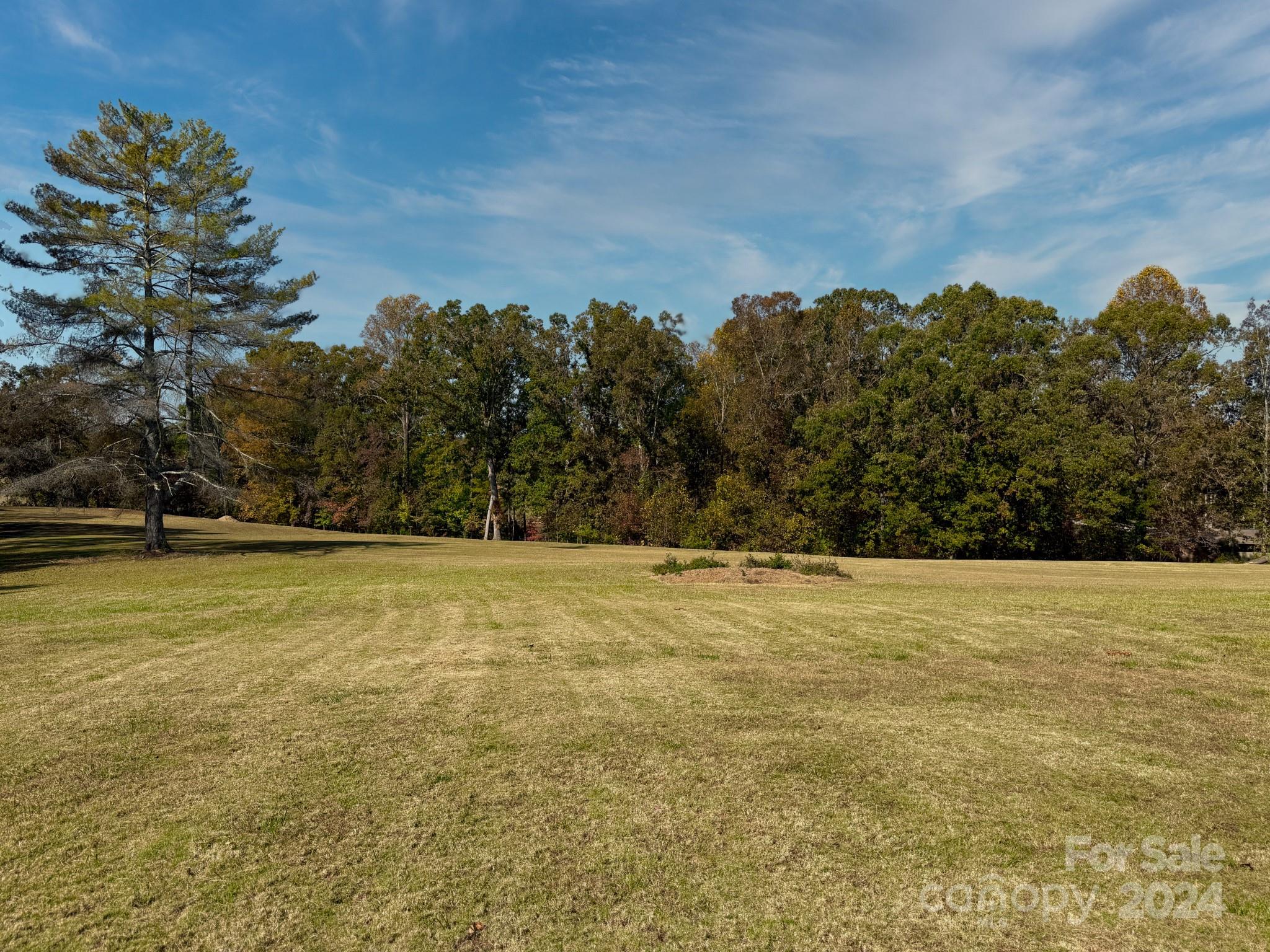 501 Hooper Creek Road Tryon, NC 28782 - Photo 7 of 34 a view of beach and ocean