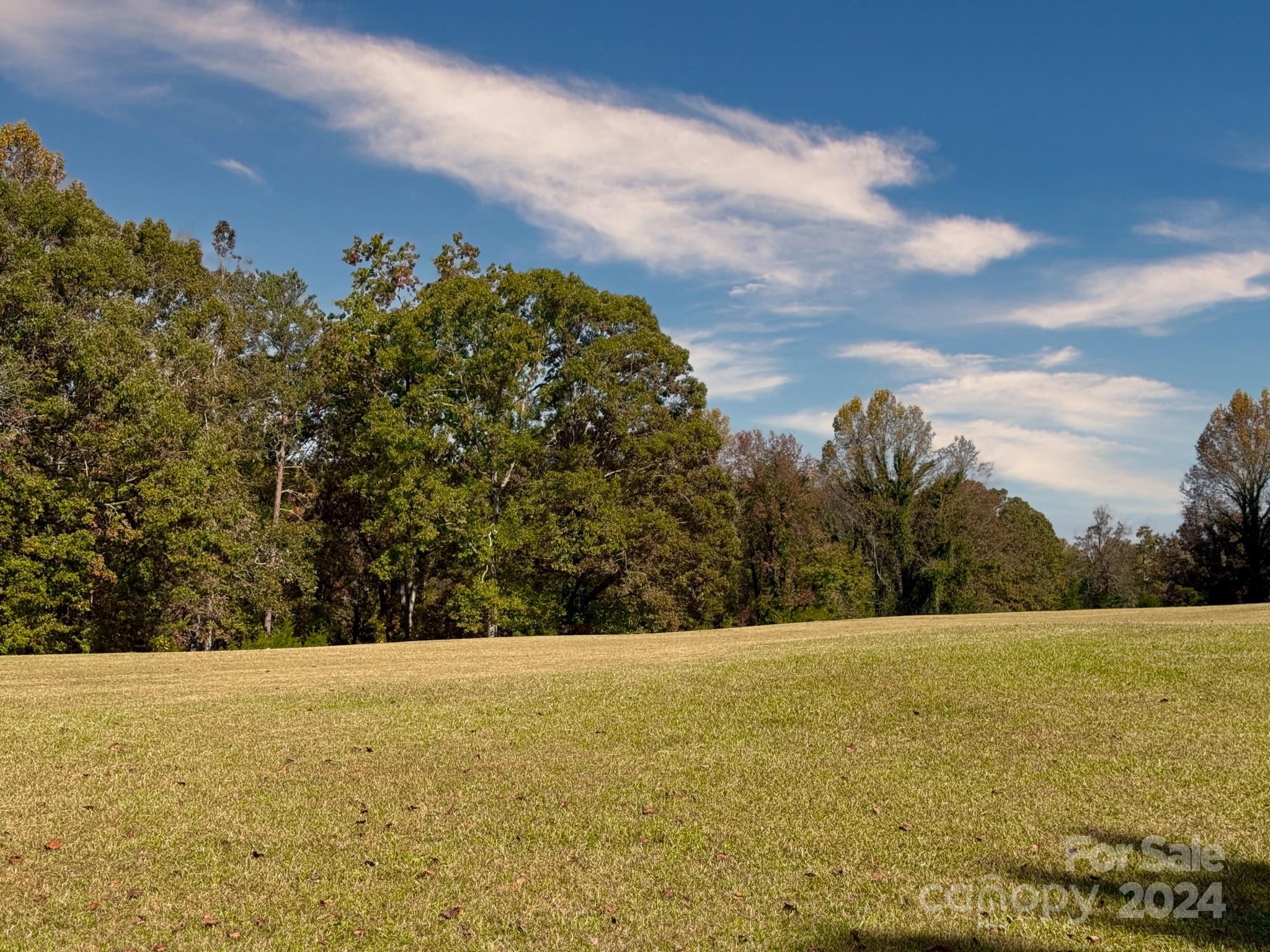 501 Hooper Creek Road Tryon, NC 28782 - Photo 8 of 34 a view of outdoor space and yard