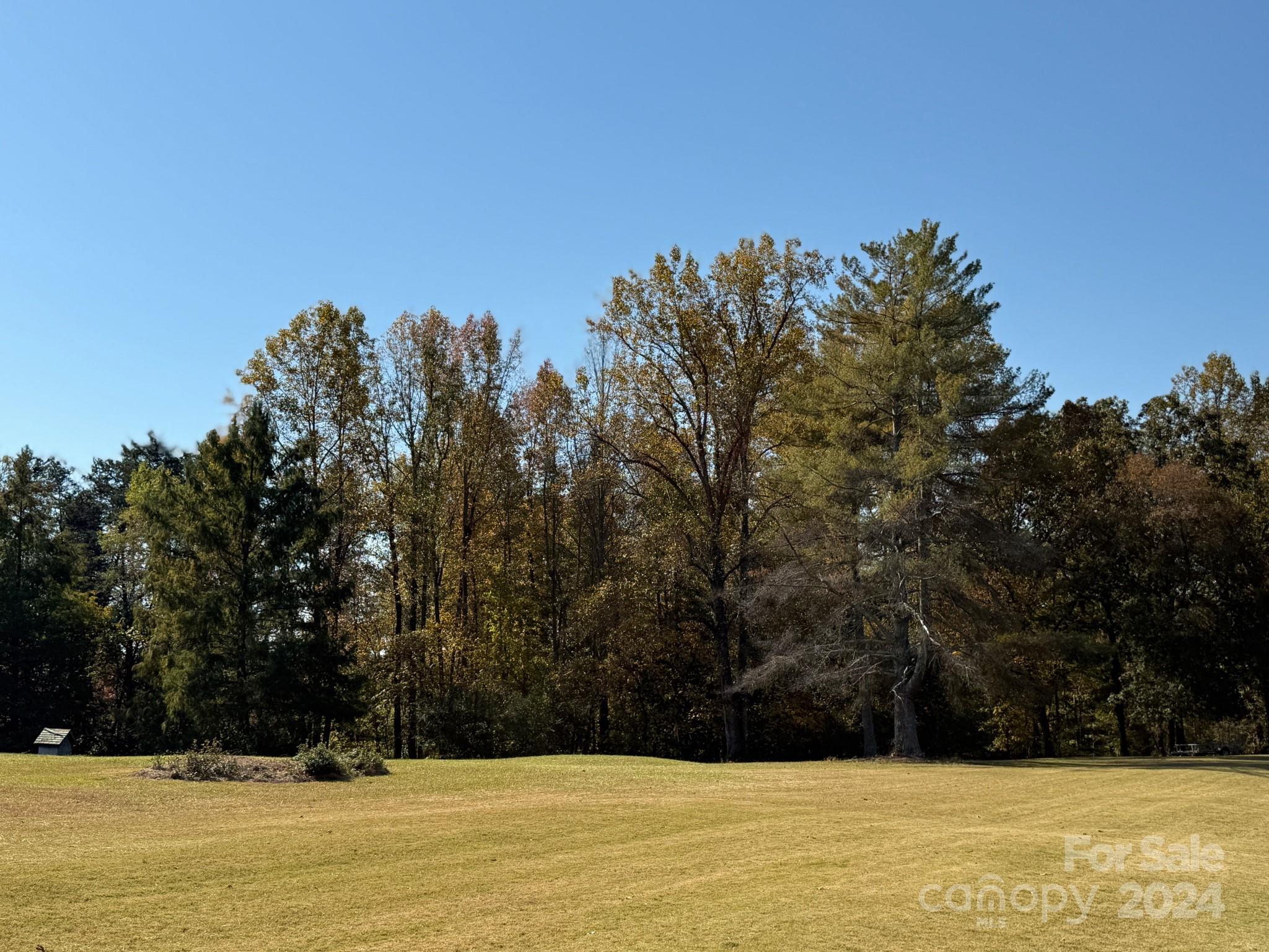501 Hooper Creek Road Tryon, NC 28782 - Photo 9 of 34 a view of house with trees