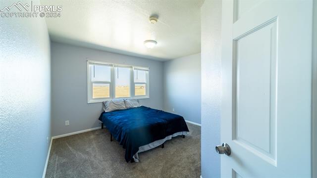 11125 Eureka Road Calhan, CO 80808 - Photo 28 of 44 View of carpeted bedroom