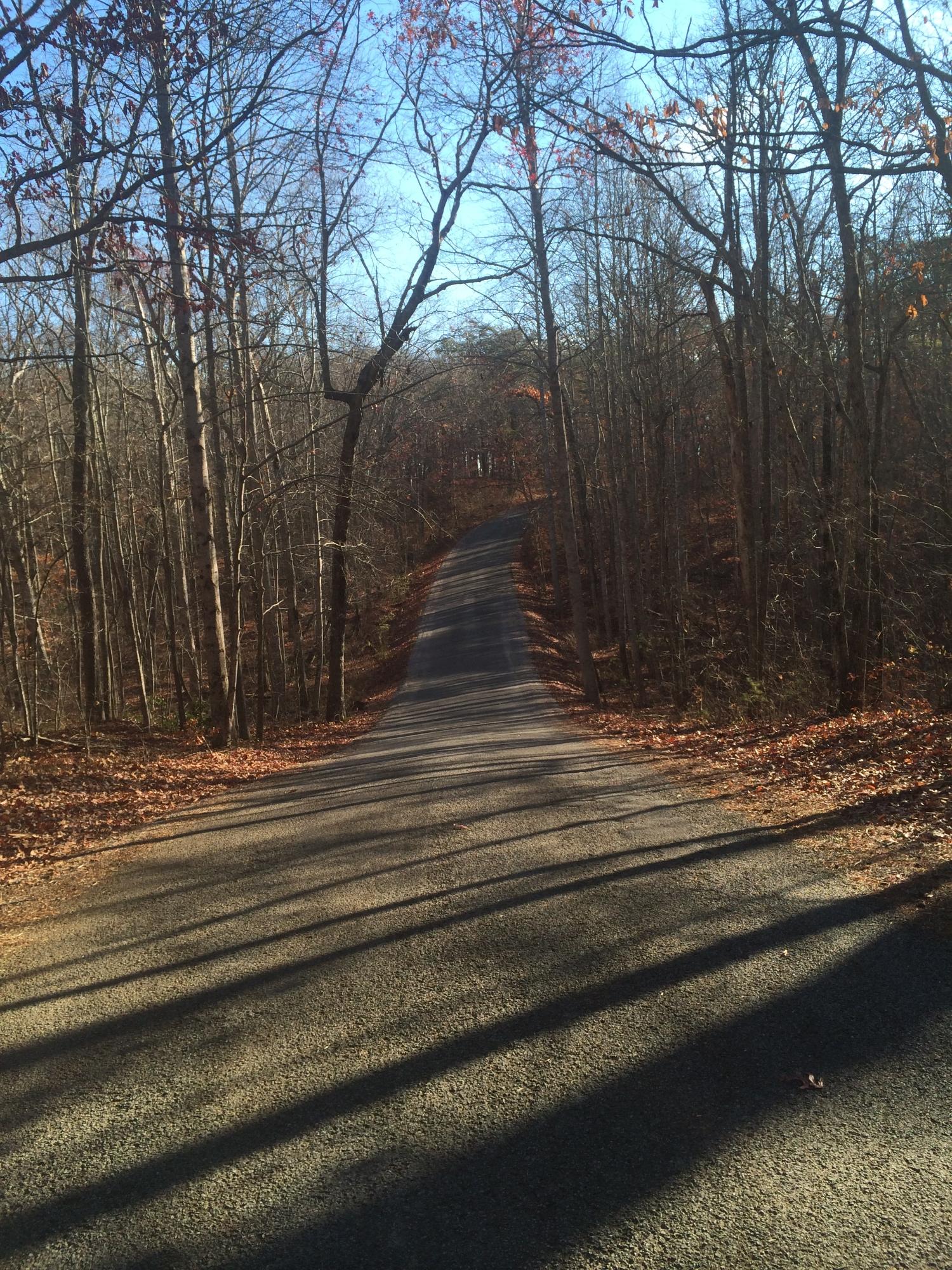 Ingman Road Tracy City, TN 37387 - Photo 1 of 6 IMG_0182