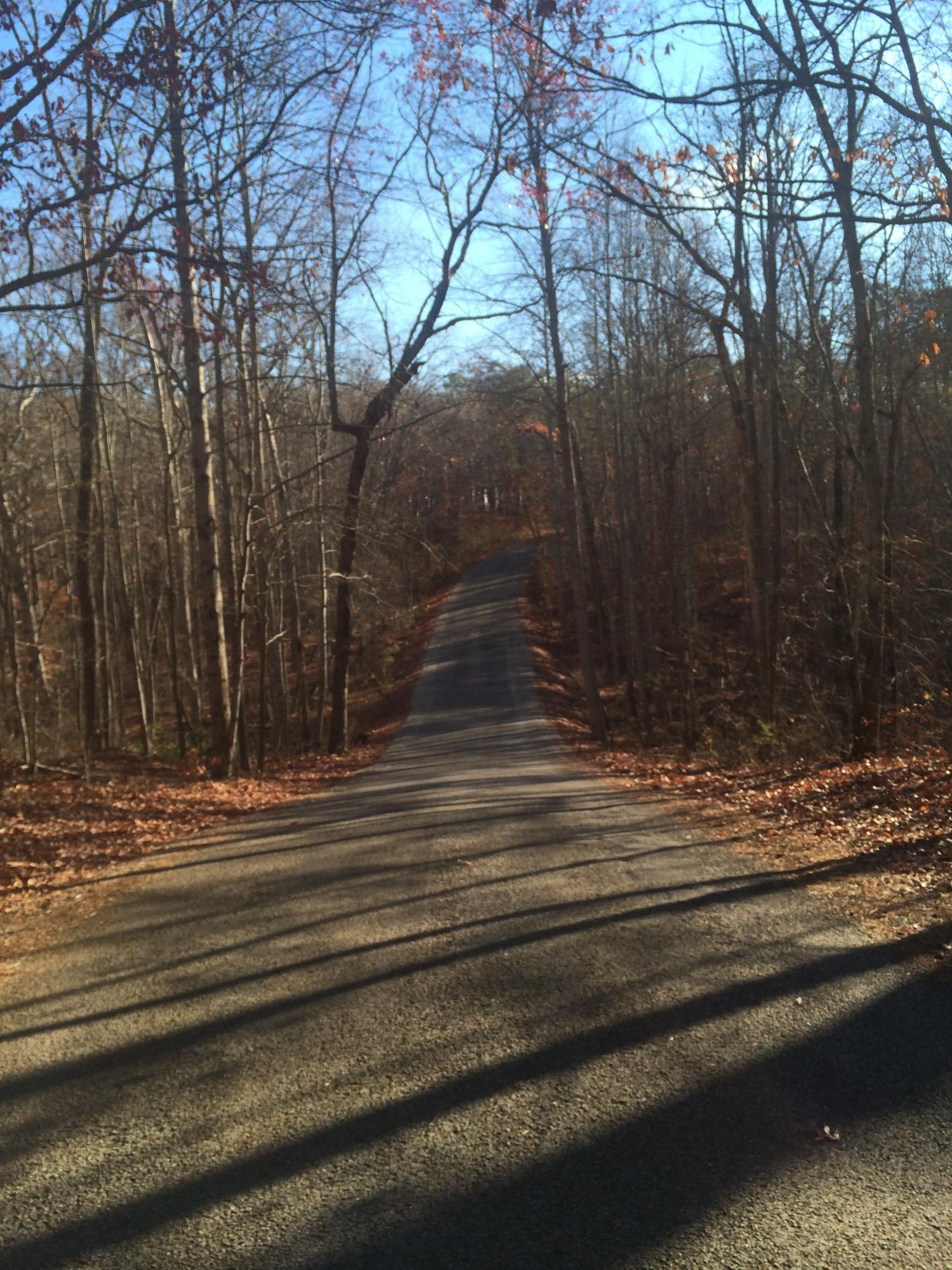 Ingman Road Tracy City, TN 37387 - Photo 2 of 6 IMG_0190