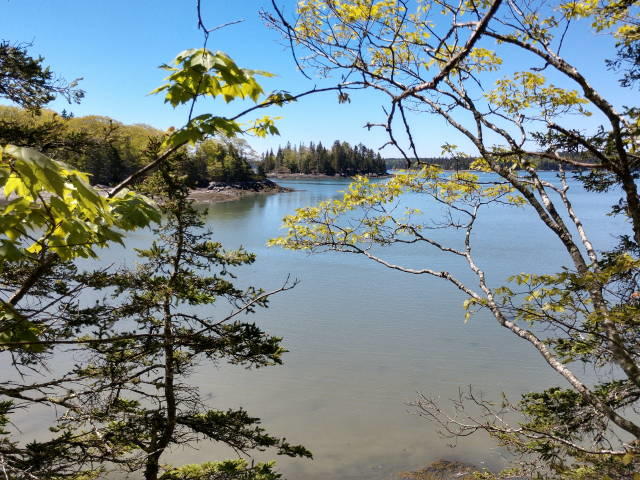 89 Davis Farm Road Deer Isle, ME 04627 - Photo 18 of 20 IMG_20190607_104857233_HDR