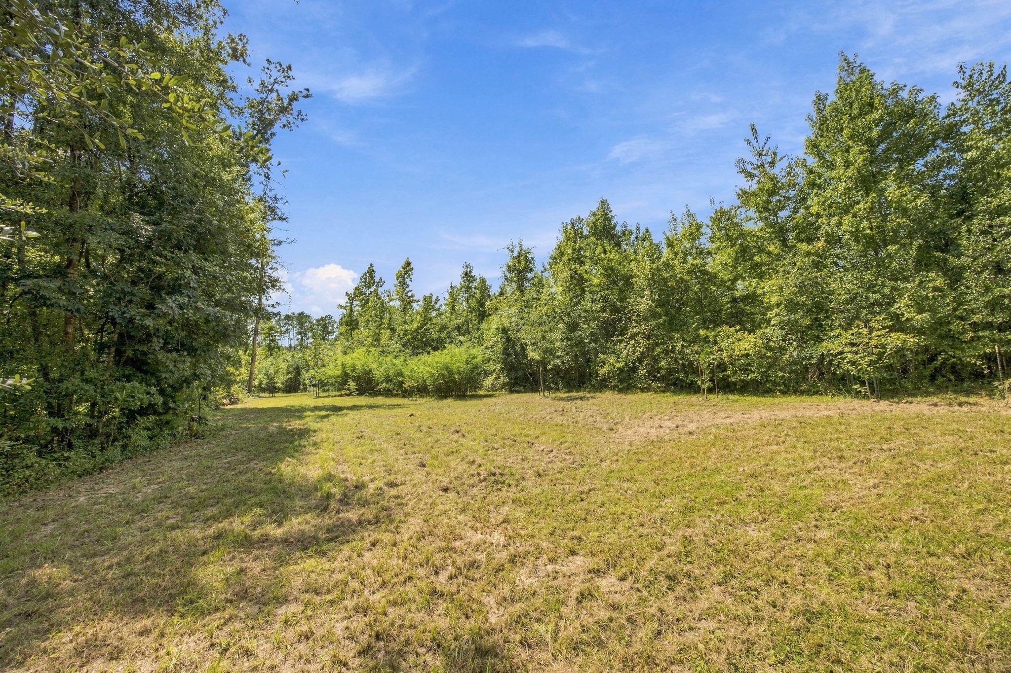 Lot 16 Johnny Road Lamont, FL 32336 - Photo 54 of 54 Gallery Image 54