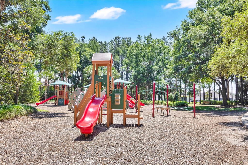 21345 Sullivan Ranch Boulevard Mount Dora, FL 32757 - Photo 60 of 63