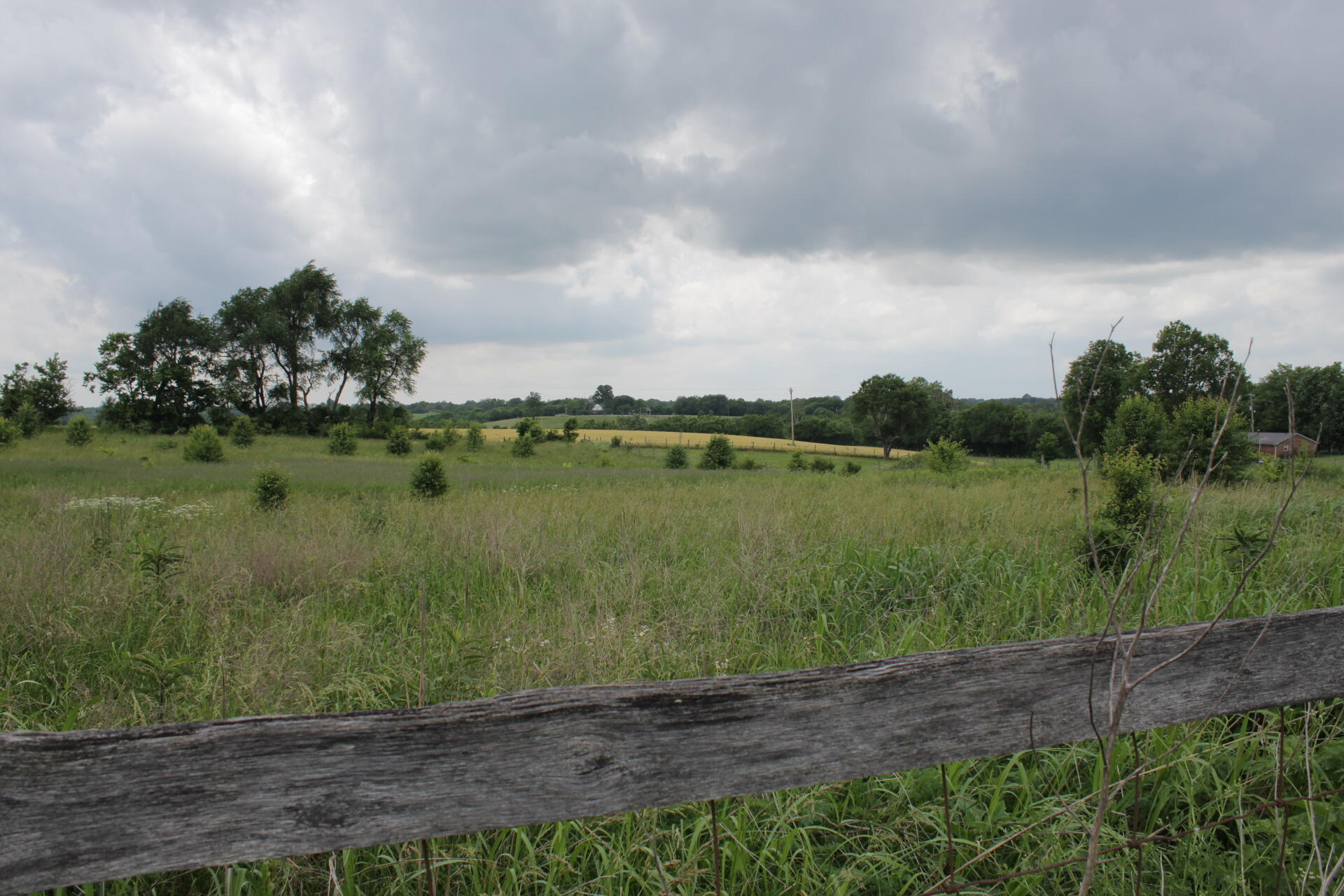 5-ac Townsend Valley Road Paris, KY 40361 - Photo 5 of 6 IMG_0680
