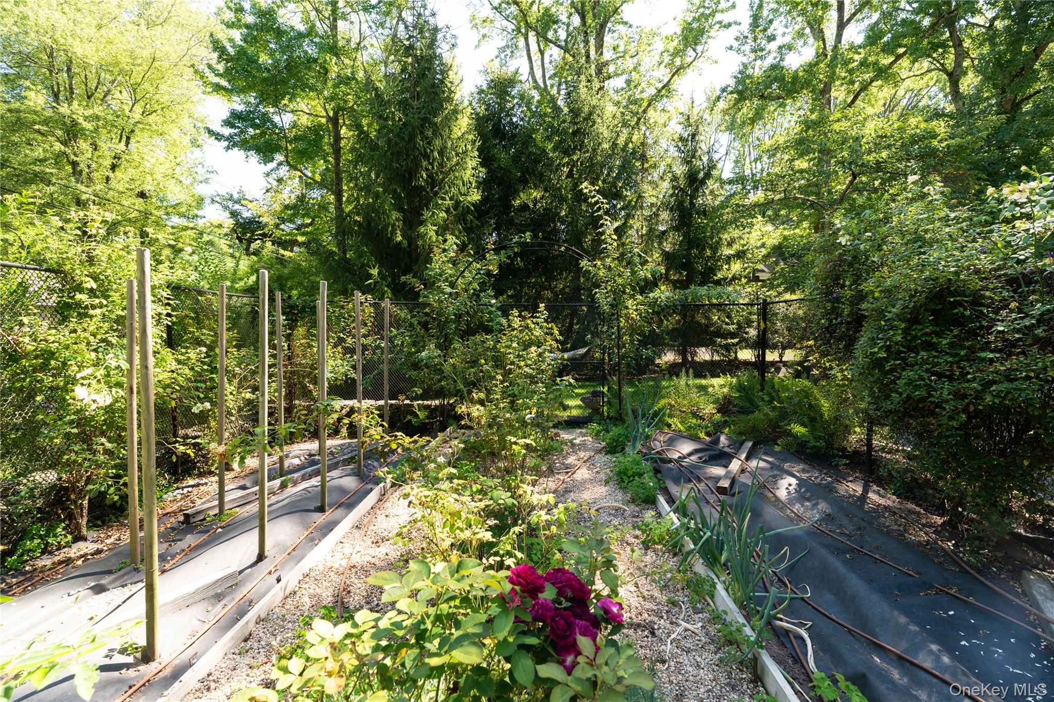 141 Washington Spring Road Palisades, NY 10964 - Photo 45 of 50 a view of yard