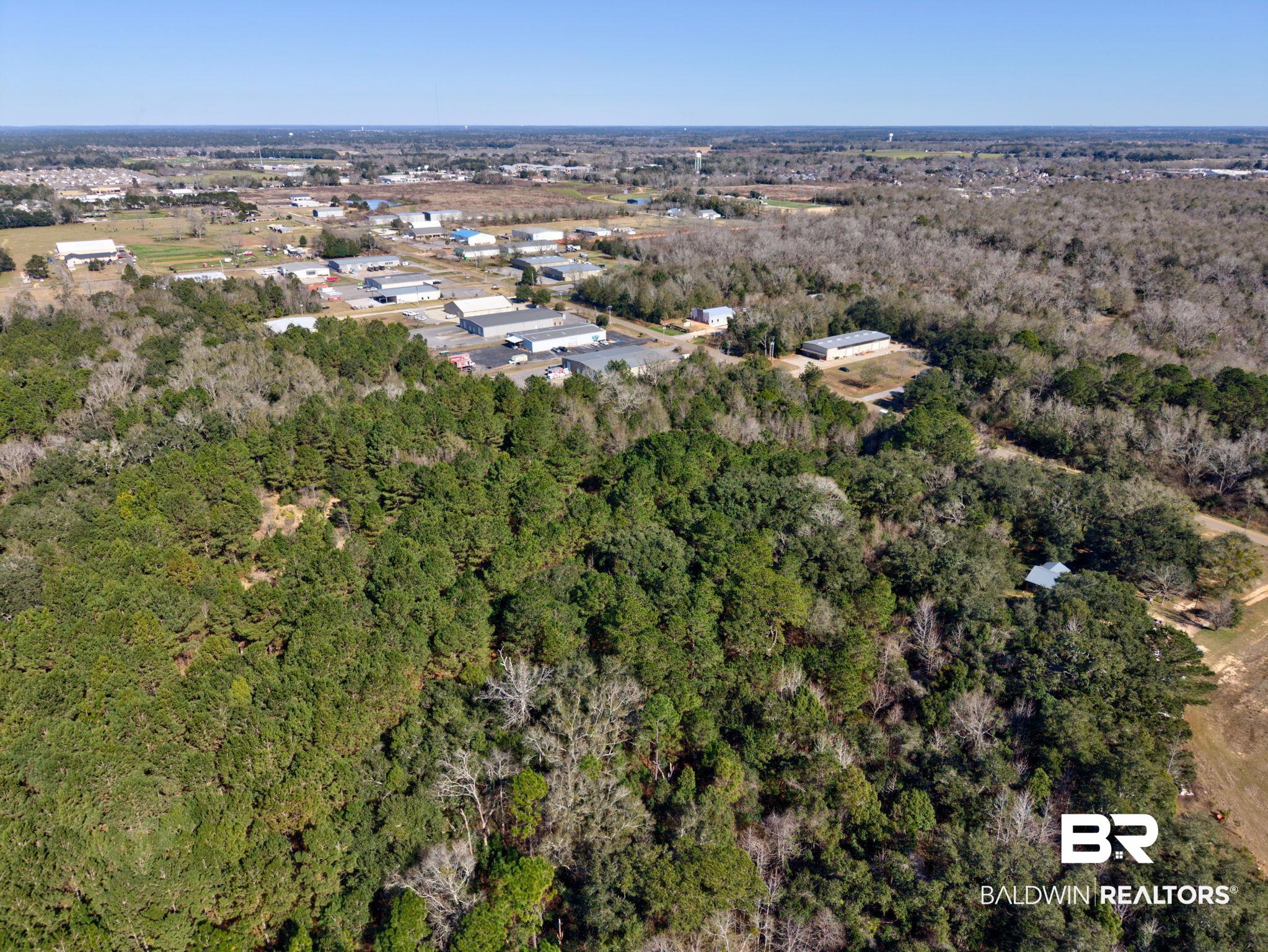 25280 Friendship Road Daphne, AL 36526 - Photo 24 of 34 Aerial overview of property's location with a forest