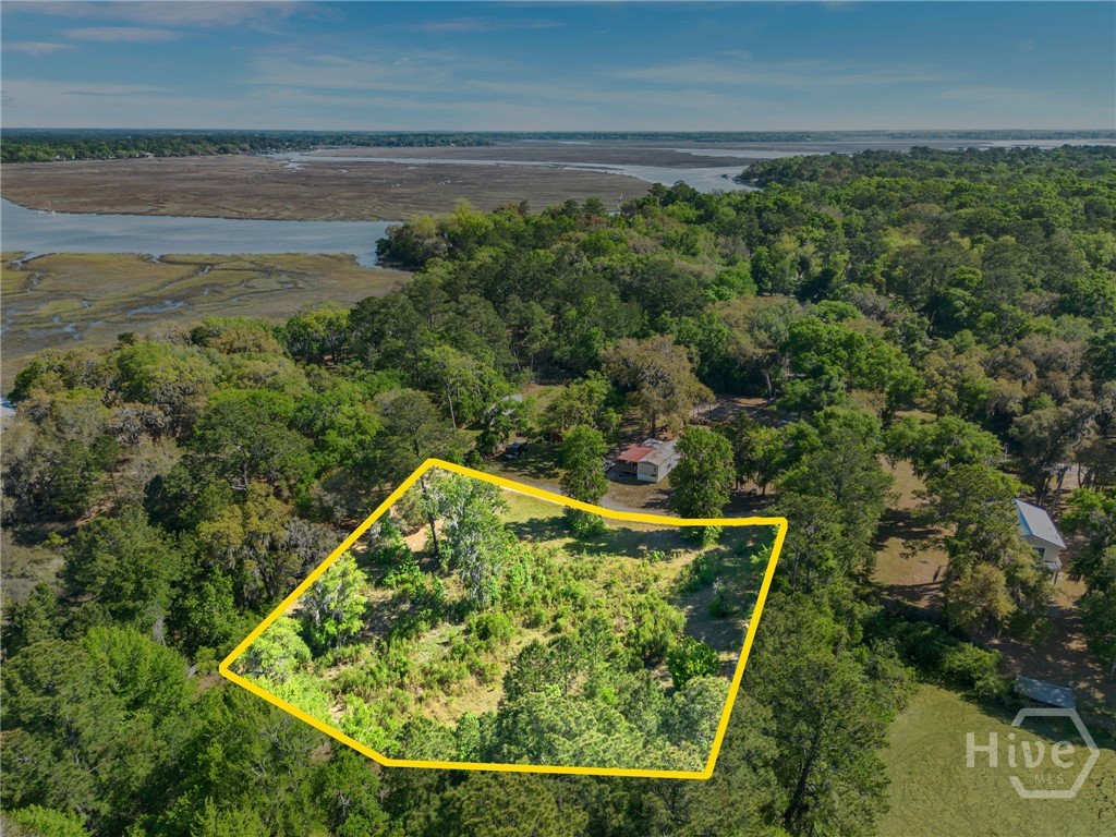 0 Goldfinch Loop Northeast Townsend, GA 31331 - Photo 7 of 26 .72 Acre buildable lot with marsh view