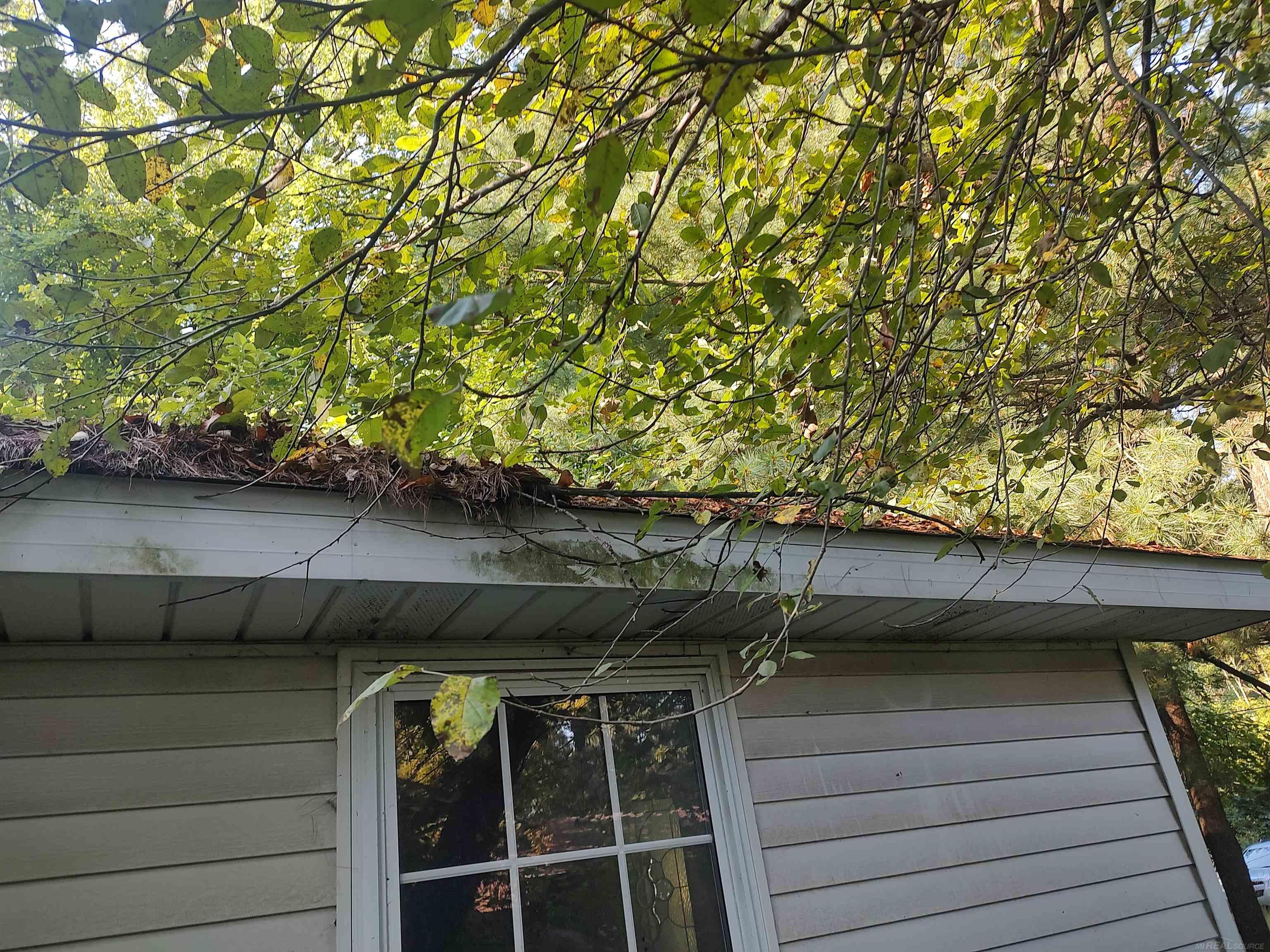 5855 Fort Road Saginaw, MI 48601 - Photo 10 of 21 50151089-efb07759-3c1f-4ad0-93af-83eb19fb8879.JPG