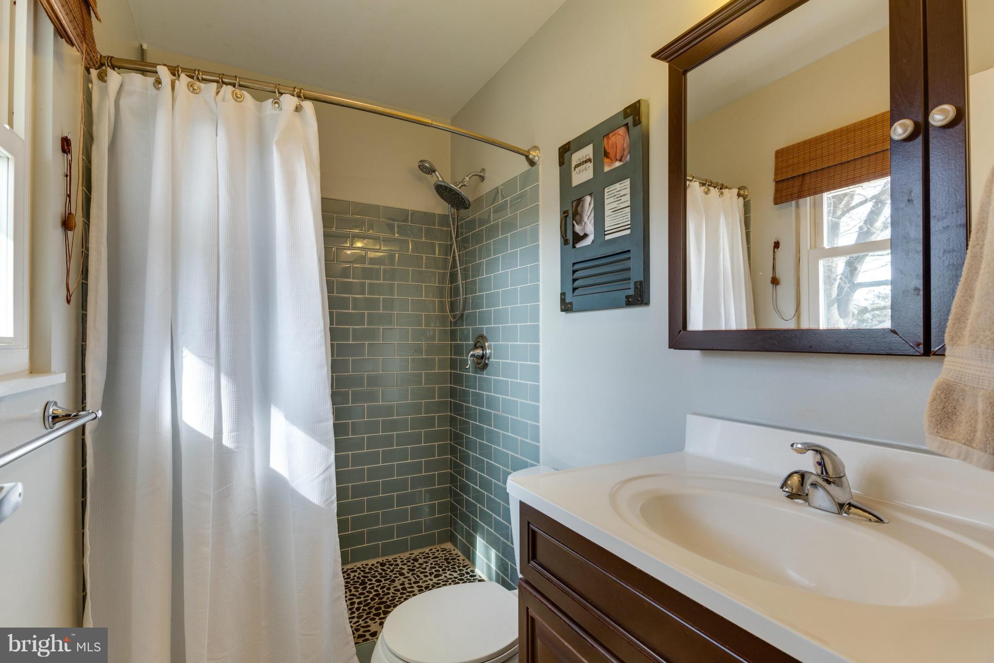 8814 Fort Hunt Road Alexandria, VA 22308 - Photo 16 of 30 Oversized showerhead & pebble tile in master BA