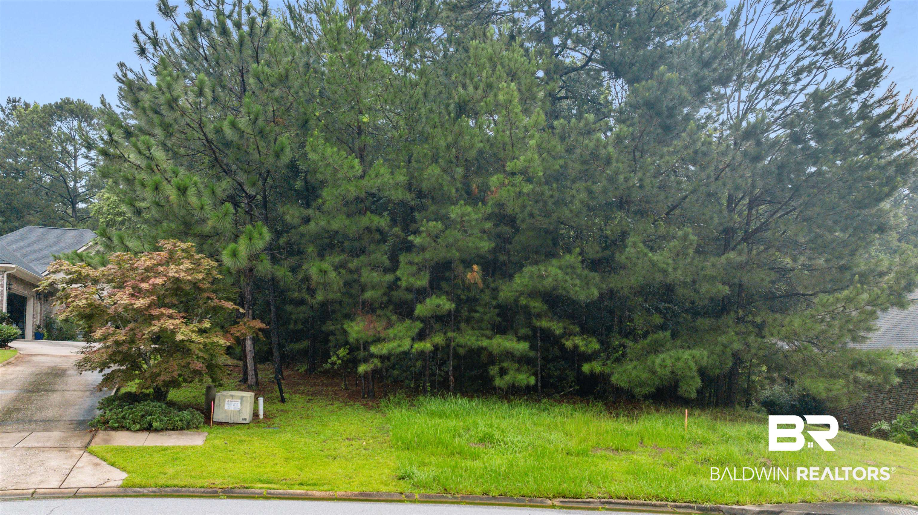 0 Carson Lane Daphne, AL 36527 - Photo 3 of 8