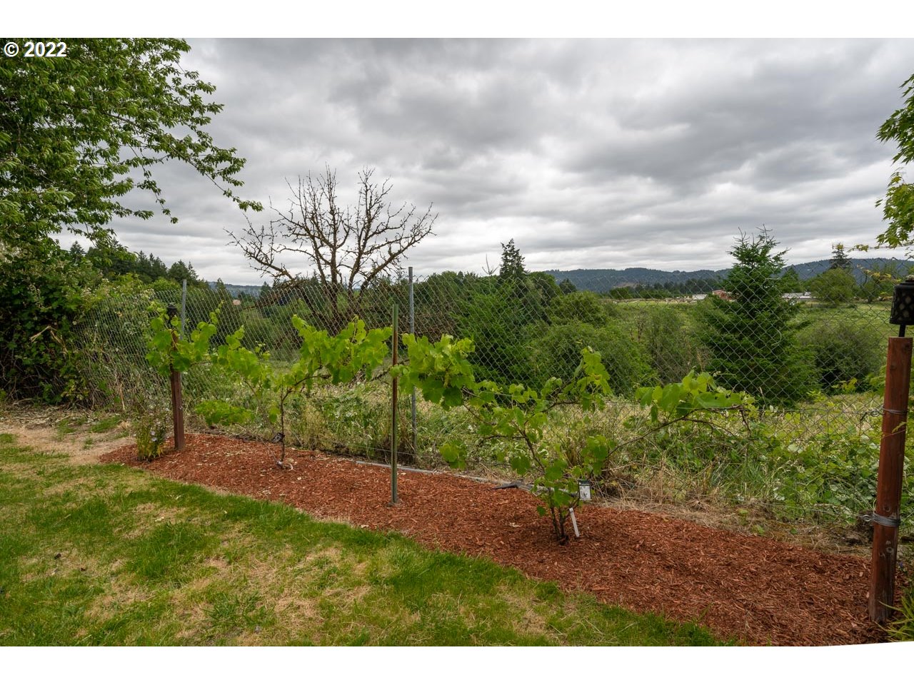 8480 Northeast Dog Ridge Road Newberg, OR 97132 - Photo 29 of 30 a backyard of a house